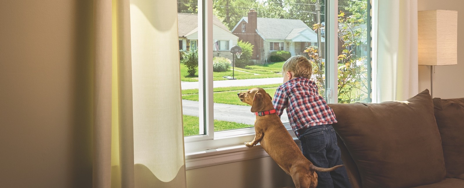 I looked out of the window. Окно для собаки в двери. Dogs looking out of the Window. Can i open the Window. Слим дог дети.