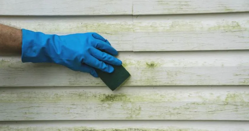 Person cleaning stained siding