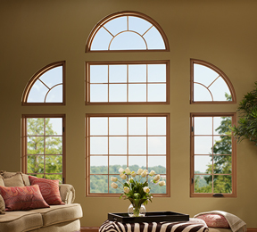 Shaped Window Example