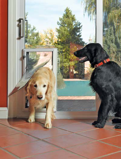 Sliding Glass Dog Door - Dog door sliding glass doors in Utah